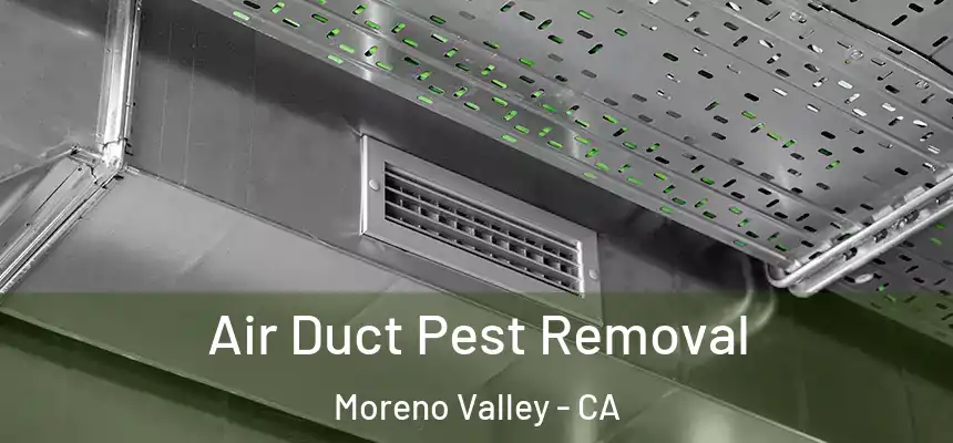 Air Duct Pest Removal Moreno Valley - CA