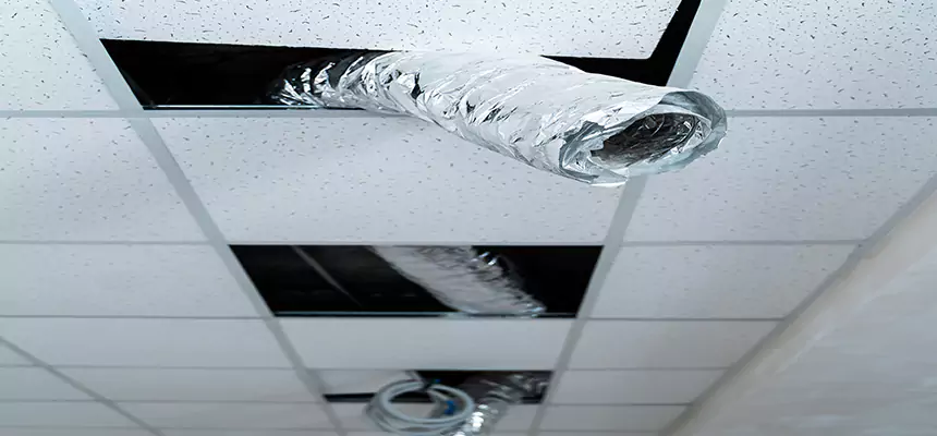 Our Air Duct Pet Hair Removal Services in Moreno Valley, CA