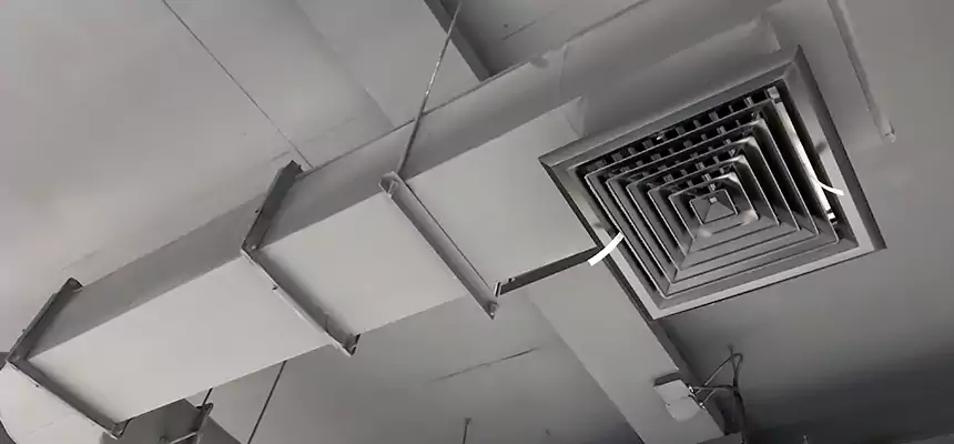 Our Pest Removal From Ducts Services in Moreno Valley, CA