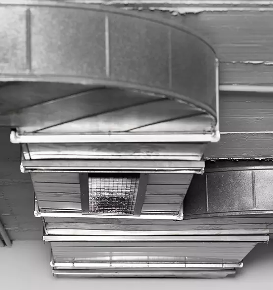 Professional Air Duct Pest Removal in Moreno Valley, CA