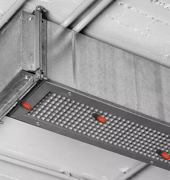 Affordable Insect Removal from Air Ducts in Moreno Valley, CA