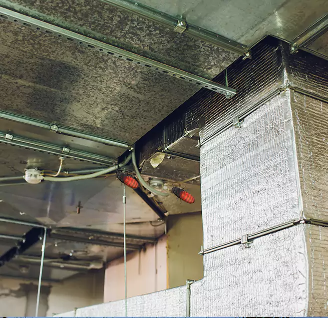 Why Homeowners & Businesses Trust Us in Moreno Valley, CA?