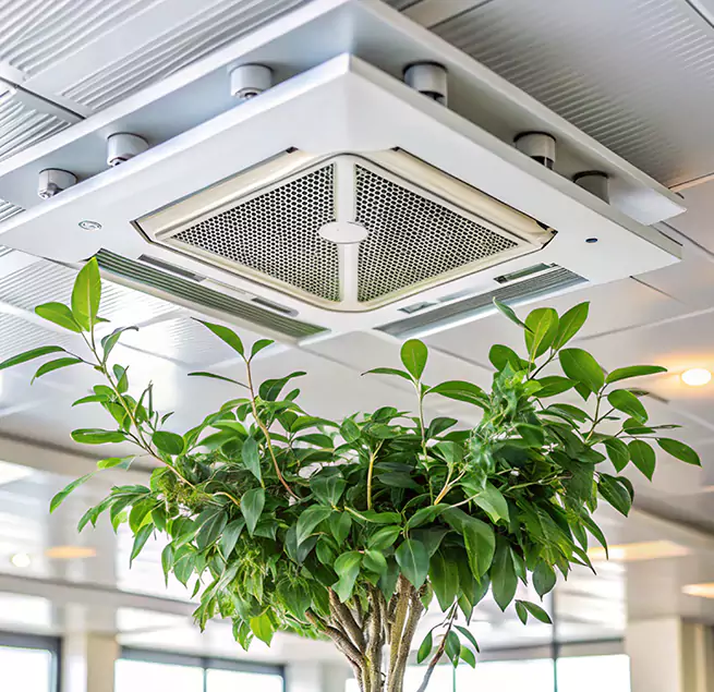 Why Homeowners & Businesses Trust Us in Moreno Valley, CA